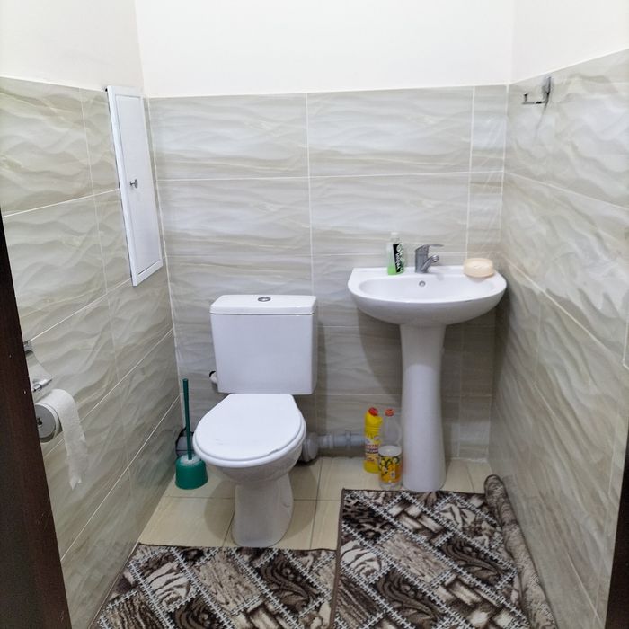 3/6/10 ДУСТЛИК МЕТРО.  85 000