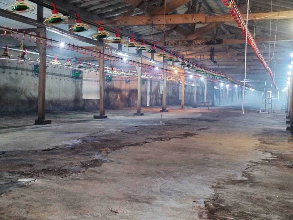 Продава се Склад в Търговище, Въбел - 1216 кв.м за 286 €/кв.м - Снимка #3