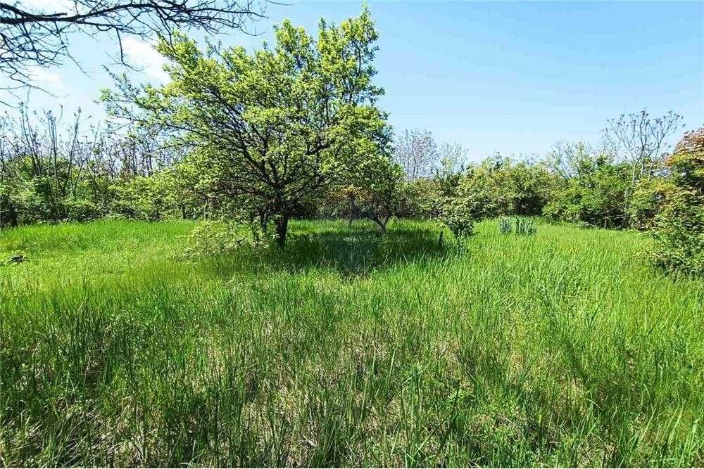 Продава се Парцел в Русе, в.з. Левента - 1556 кв.м за 55 €/кв.м - Снимка #1