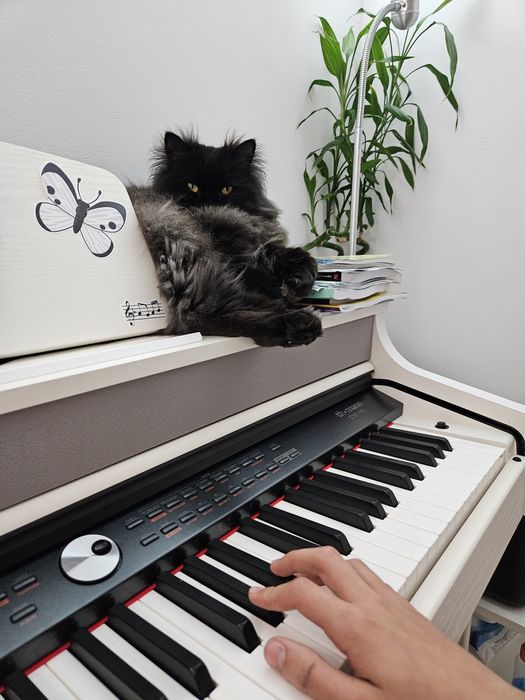 Meditații Pian Sector 6