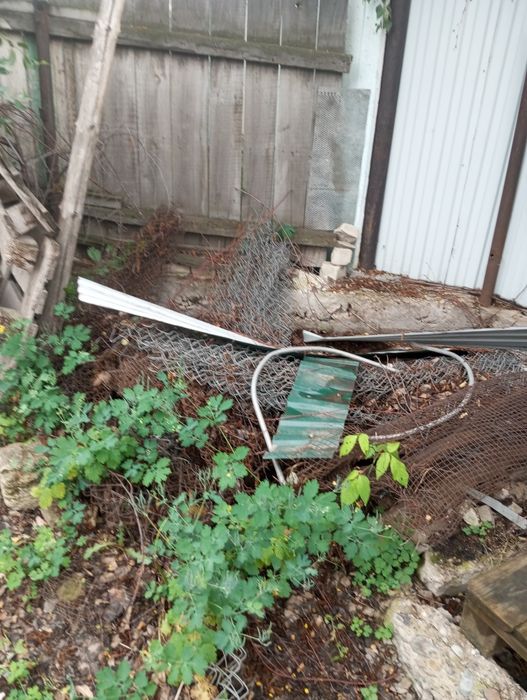 Отдам даром срочно