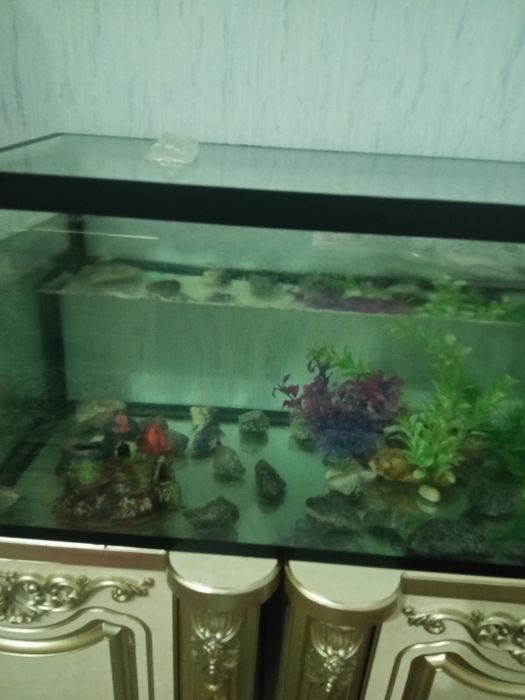 Срочно продаётся аквариум