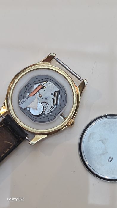 Ceas Citizen  faction