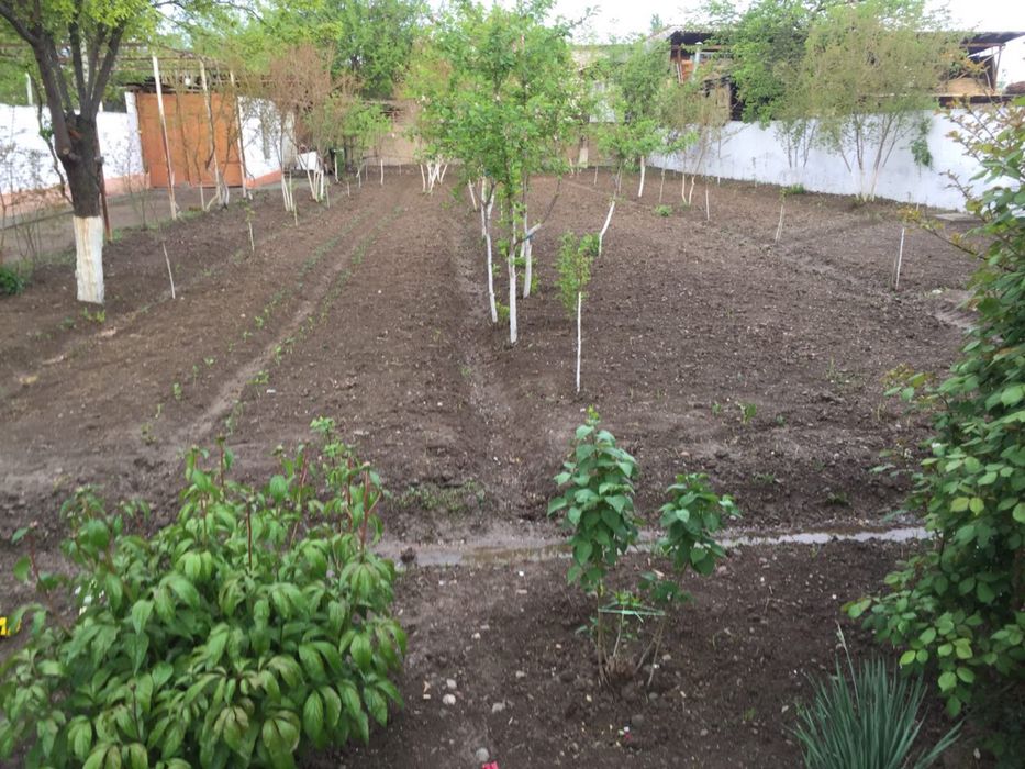 Сотилади ховли уй 12 сотих ери, 10 хона