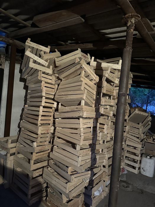 Продам ящики из под ягод