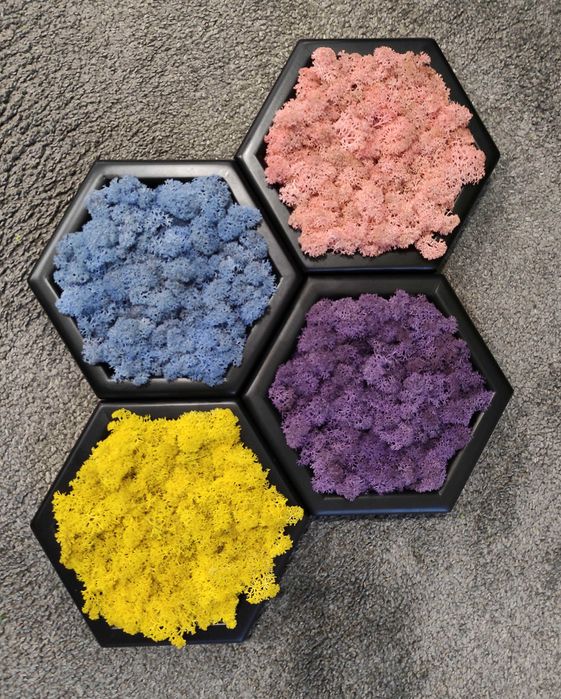 Уникални картини от естествен мъх! Декорация,арт,модерно,свежо,подарък