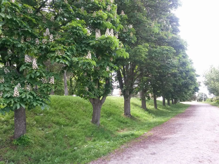 Vand sau schimb teren intravilan 2ha cu cf la 40 km de Cluj-Napoca