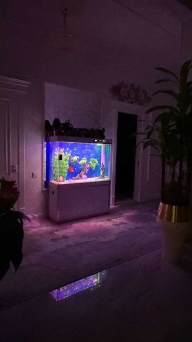 Профессиональная чистка аквариума AQUALIFE