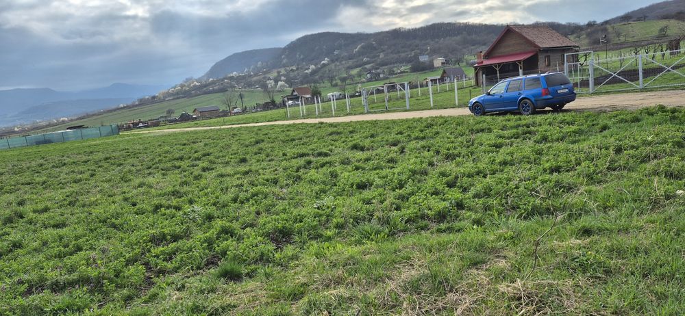 Teren  extravilan  5100 m²