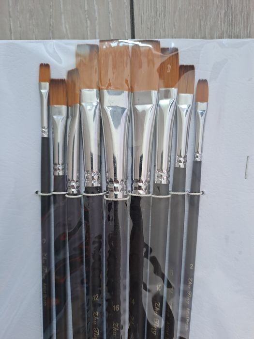 Set pensule pt pictura