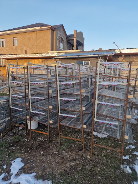 Бөденеге Клетка для перепелов