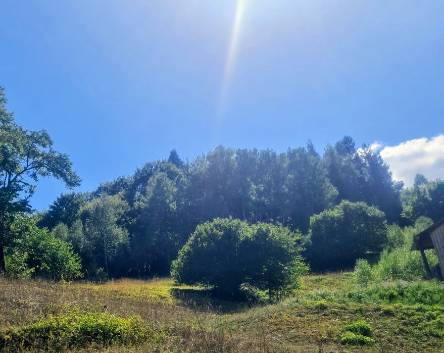 Продавам гора 9700 кв.м. в гр.Смолян,кв.Устово,над Комуна