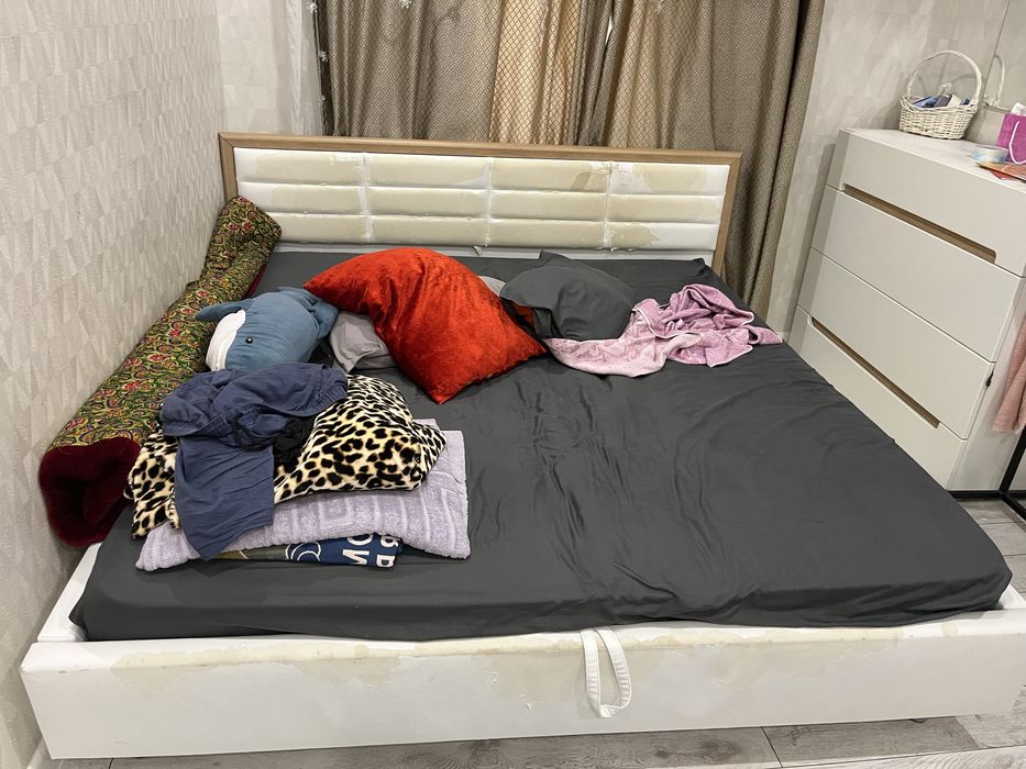 Отдам даром срочно