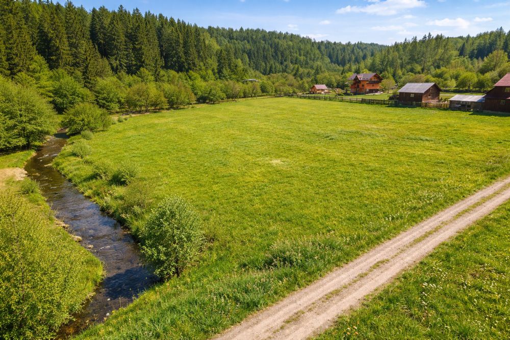 Teren extravilan,4150 mp,zona de cabane Paltinoasa, Suceava