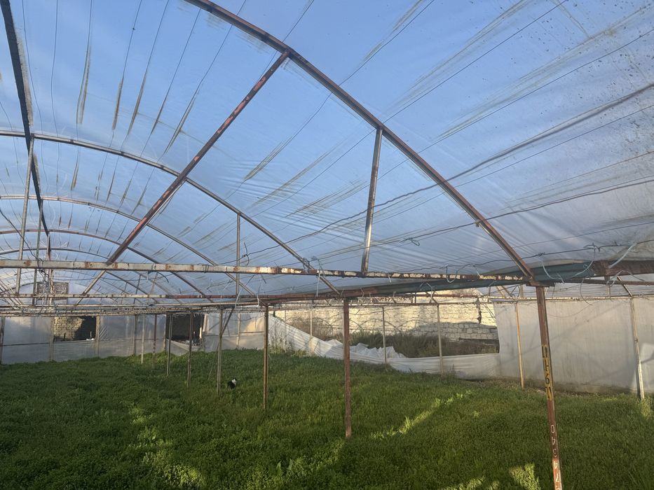 Parnik sotiladi eni 12 uzunligi 24 metr