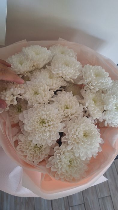 Шымкент казр келды гул