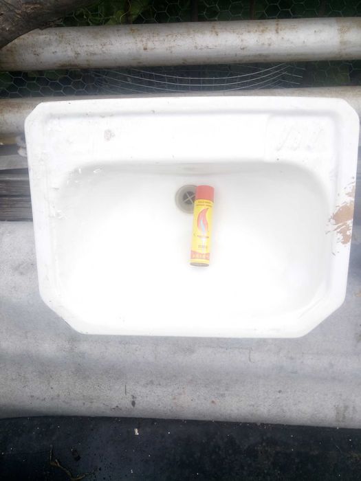 Продаю раковину - тюльпан.