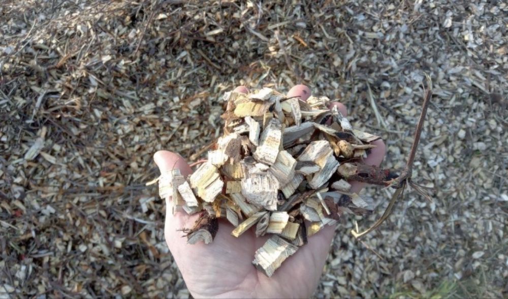 Tocare crengi, maruntire crengi