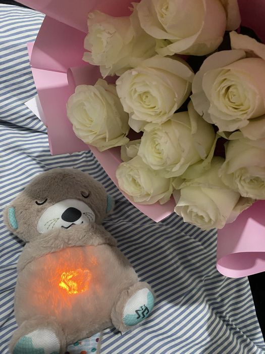 белые розы цветы и игрушка