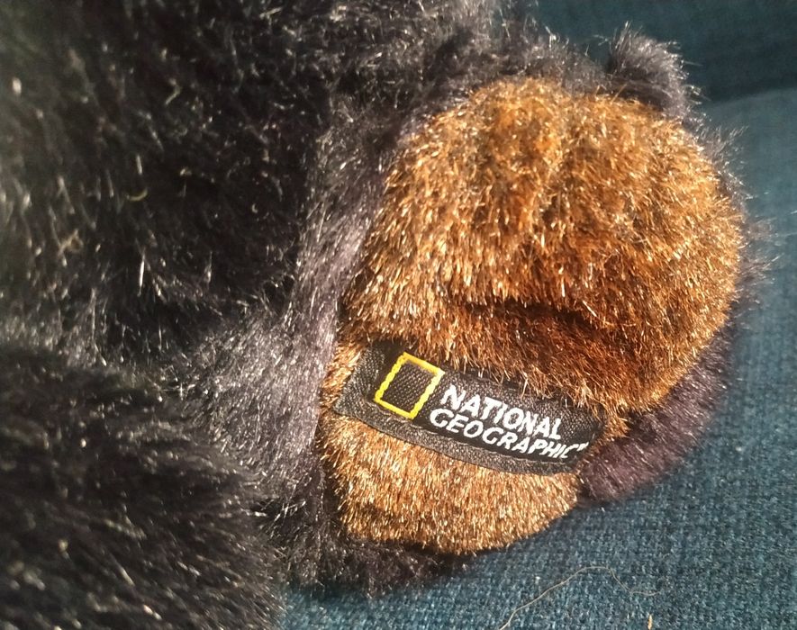 Панда National Geographic оригинал продам