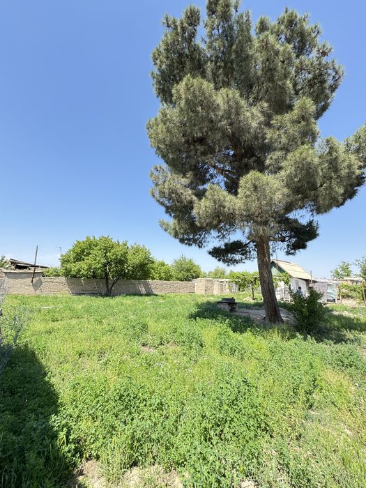 Дача Восход (Кўришизга арзийди )