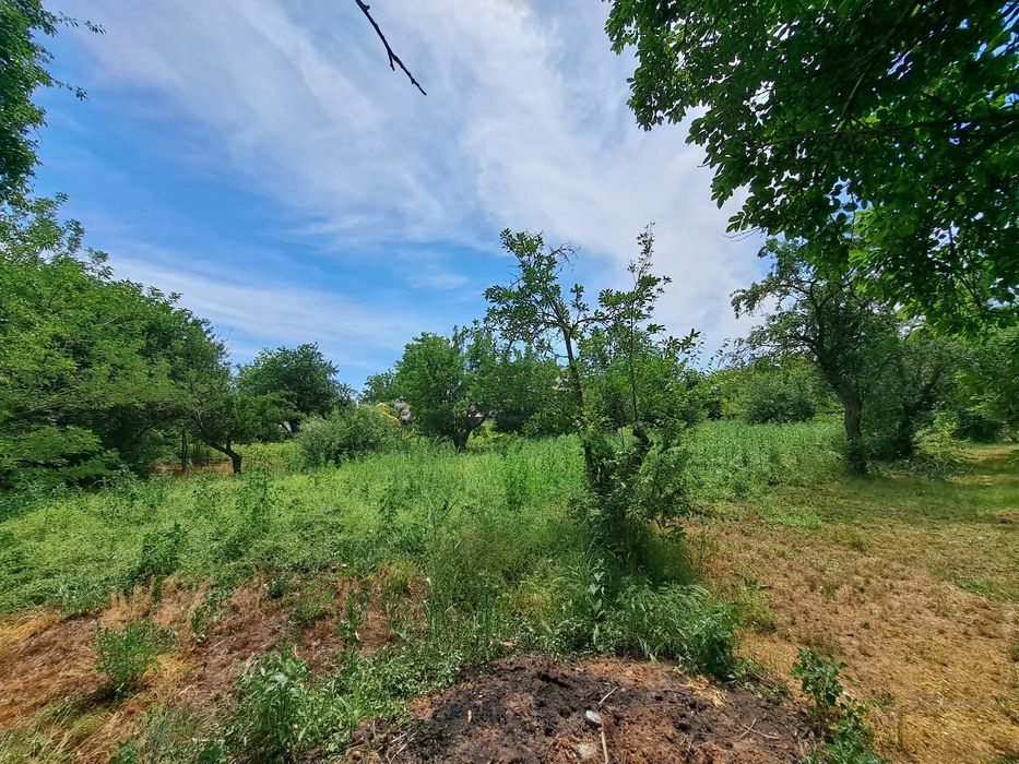 Teren intravilan 2300