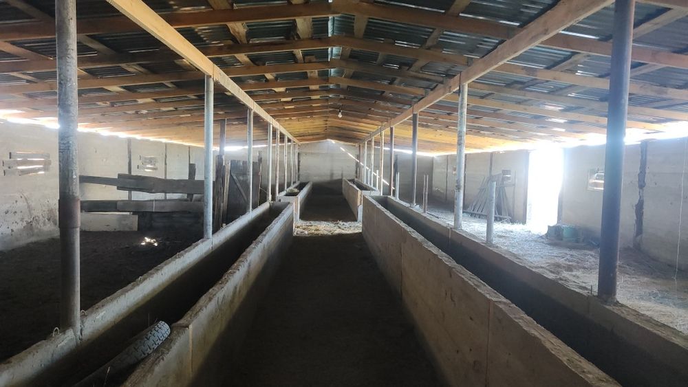 Часны Үй сатылады