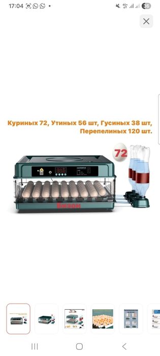 Инкубаторы для вывода яйца