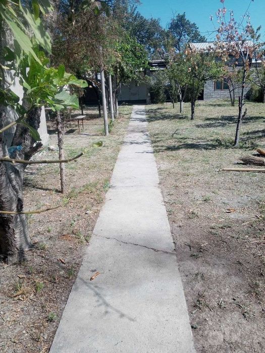 Дача 6 соток, дом 92 м², Зангиата, 14 000 $/сотка