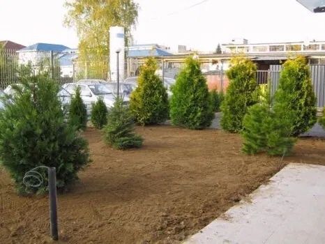 Продавам хумус за градини 
Градинска почва на цена 35лв. за кубик с вк