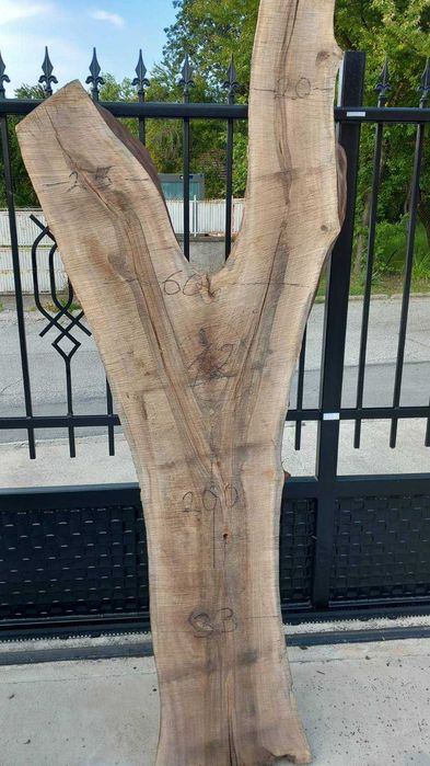 Орехови янове 6 см