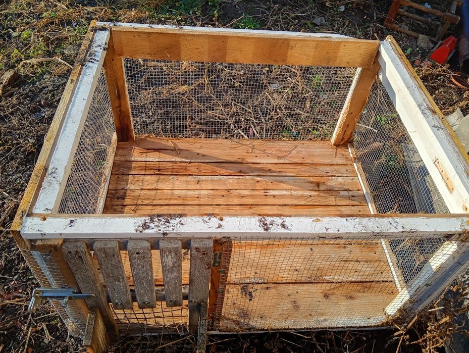 Cotec de iepure mare