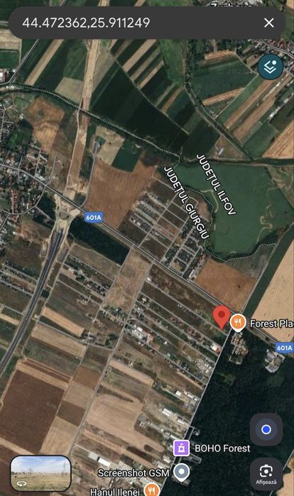 Teren 805 mp Joița/Bâcu/ 40 ml deschidere/ 1 km de A0