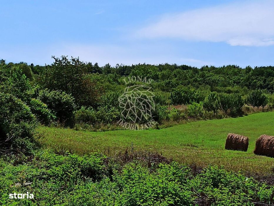 Parcele teren 4038 mp - Parcelabil - Zona Valea Stanelor