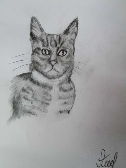 Картини на тринадесетгодишната Алекс