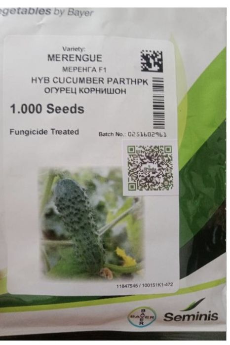 Семена капусты и огурцов.