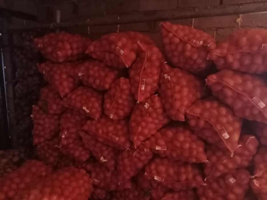 Продам картофель