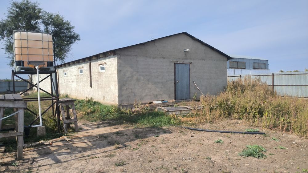 Продается ЛПХ с базой и теплицами.