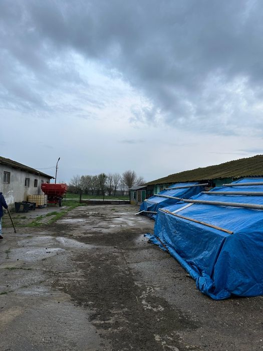 Grajd fostă fermă în Stelnica (IL)