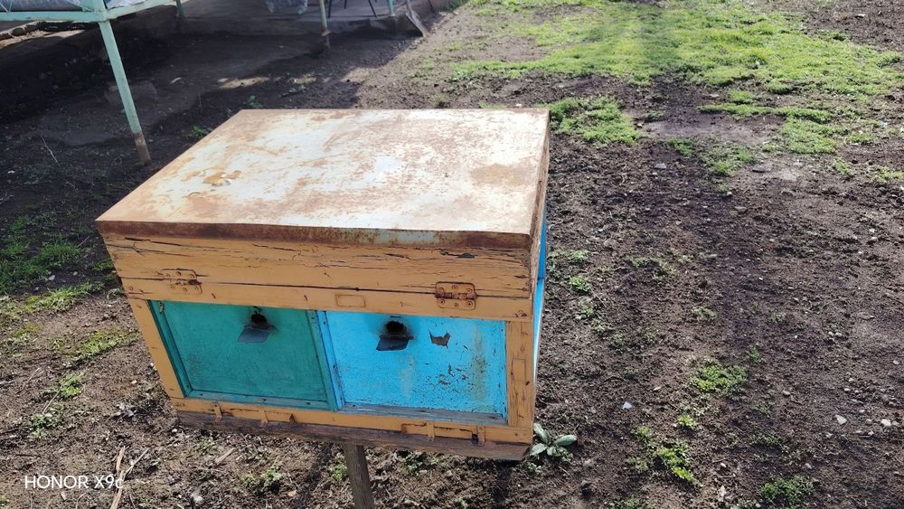 Улики Пасика Инвентарь