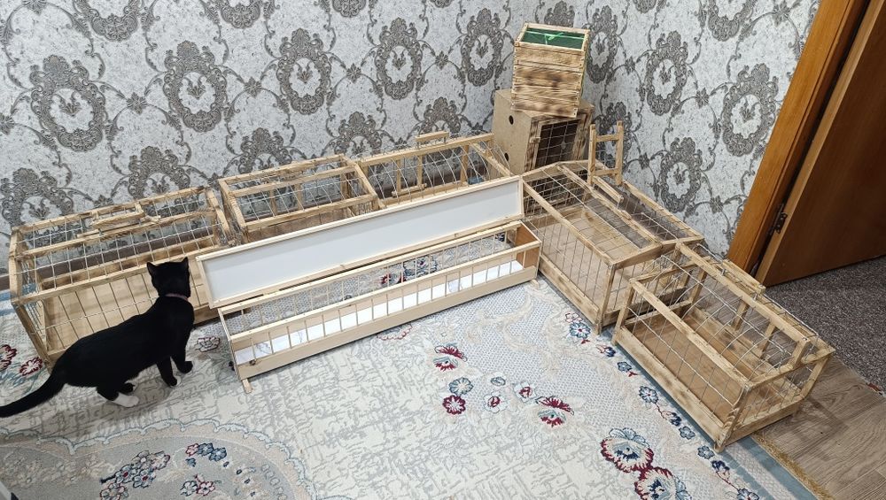 Клетки для голубей