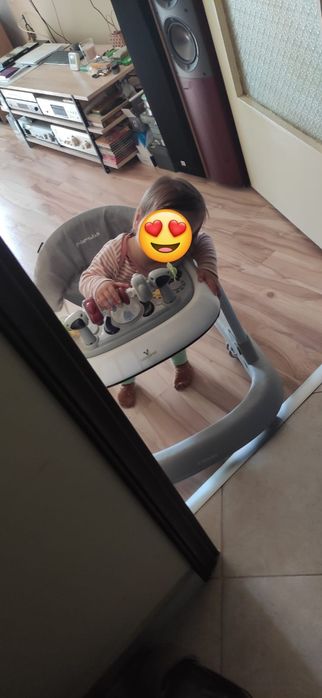 Проходилка(паяк)