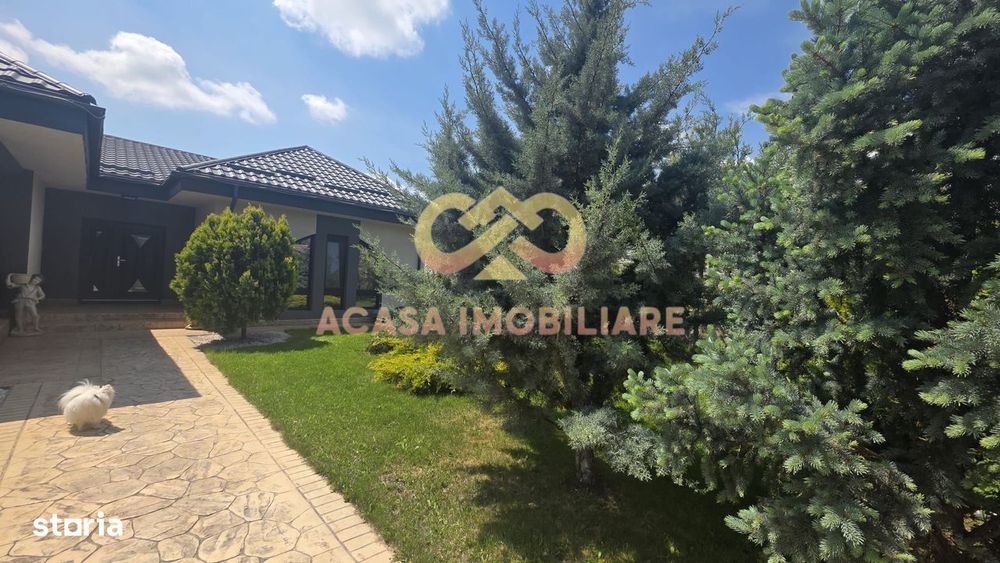 Bucium Vila 5 Camere 193Mp  Teren 1700Mp
