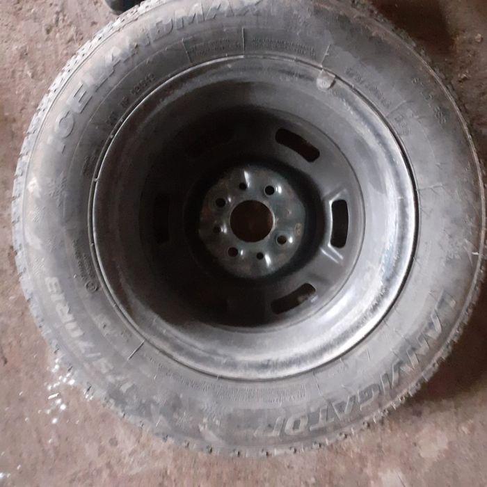 Авто шины доңгелек