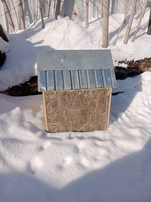 Бужка для собаки