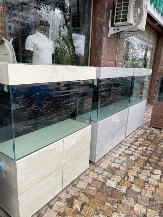 New Akvarium new Dizayn