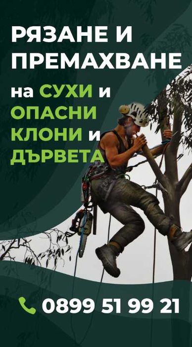 Премахване на опасни клони и дървета | Резитба | Грижа за дърветата