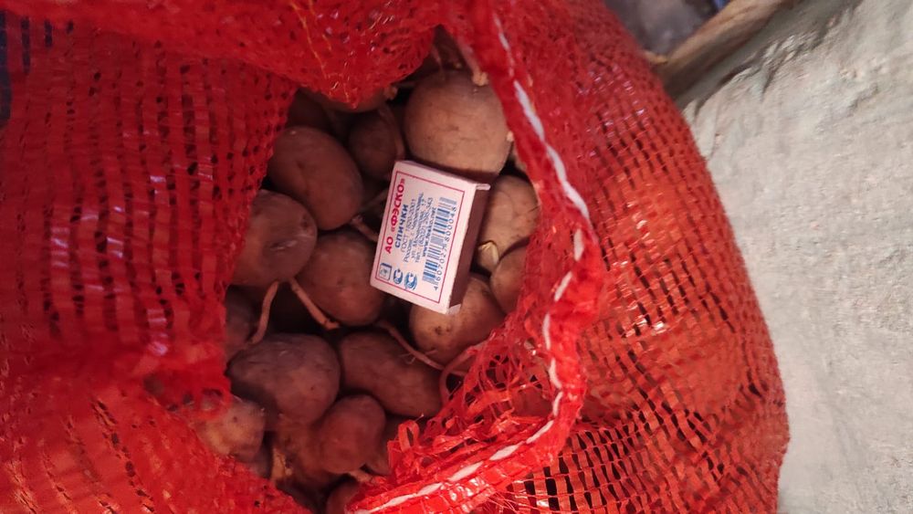 Продам картошку для посадки.