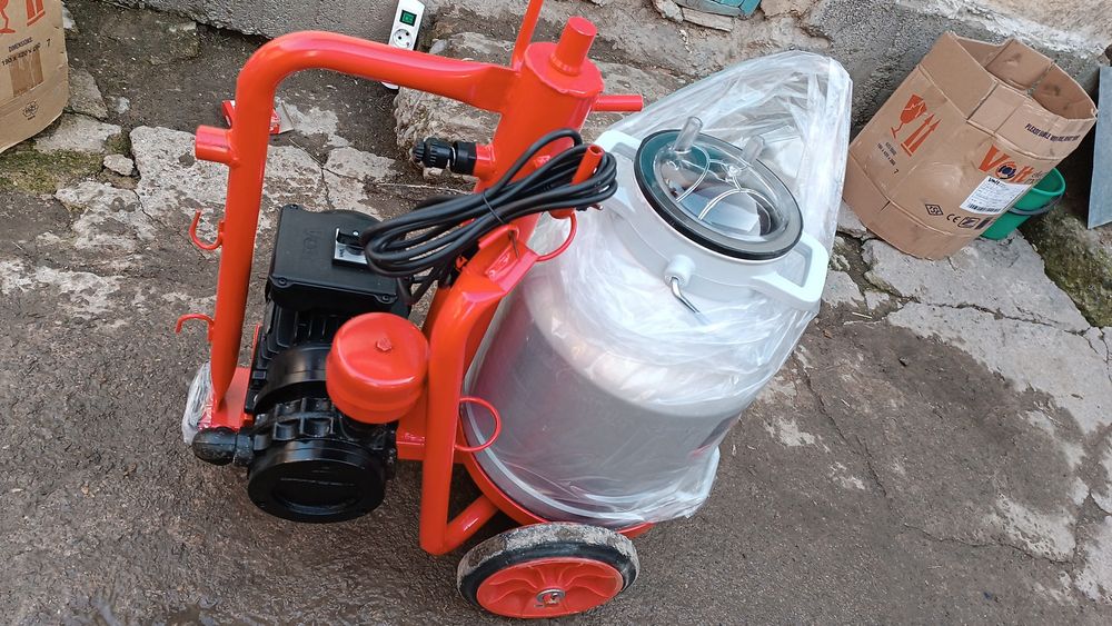 Спайс пен қасқыр порно видео