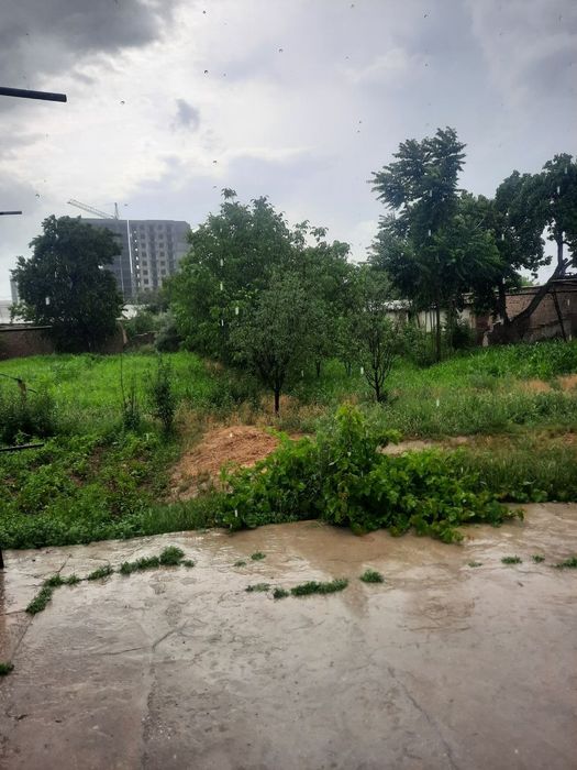 Umidda hovli 2mln